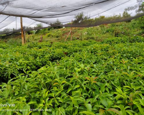 WhatsApp Image 2025-09-23 at 07.14.09_fc64154b