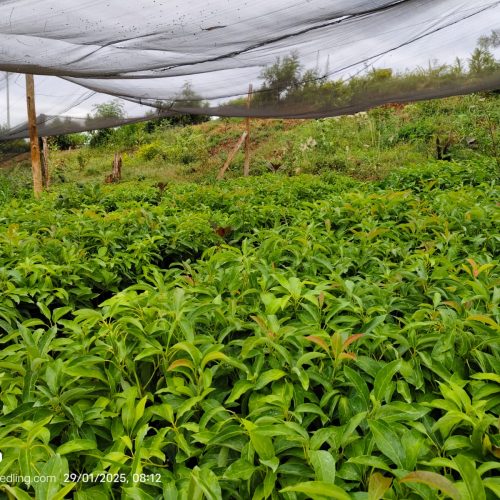 WhatsApp Image 2025-09-23 at 07.14.09_fc64154b